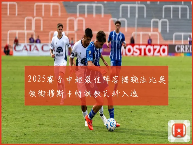 2025赛季中超最佳阵容揭晓法比奥领衔穆斯卡特执教瓦科入选