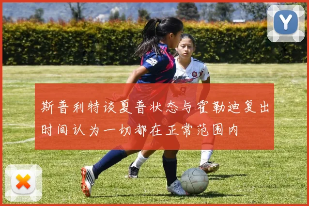 斯普利特谈夏普状态与霍勒迪复出时间认为一切都在正常范围内