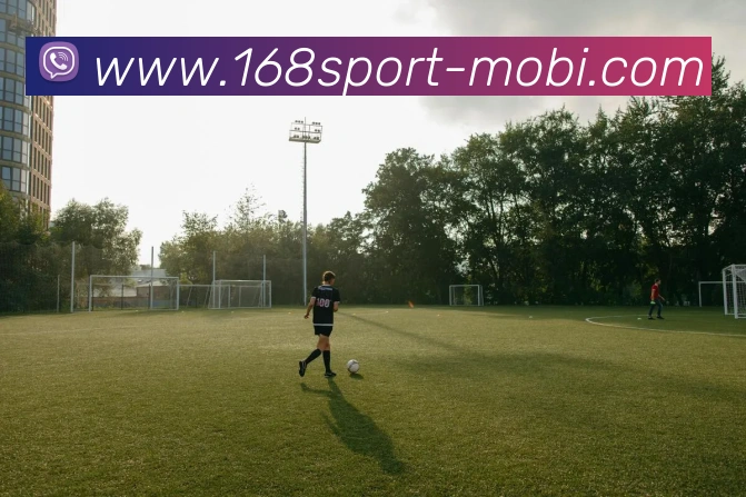 168体育平台生态图